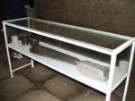 DSCF0061