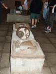 DSCF0062