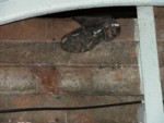 DSCF0083