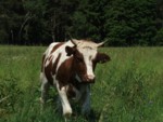 DSCF0112