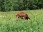 DSCF0113