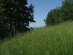 DSCF0114