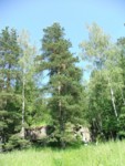 DSCF0121