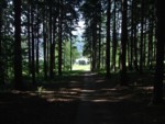 DSCF0203