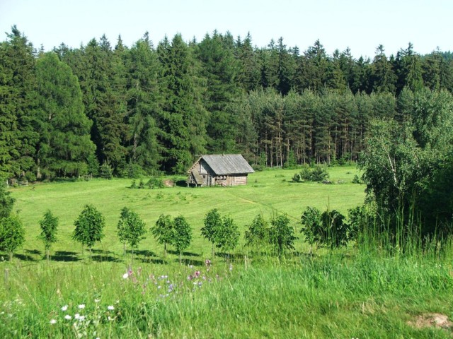 DSCF0204