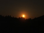 DSCF0217