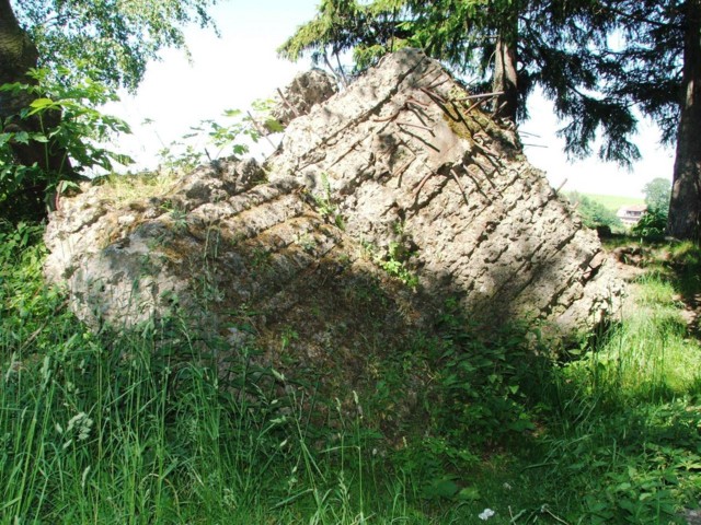 DSCF0223