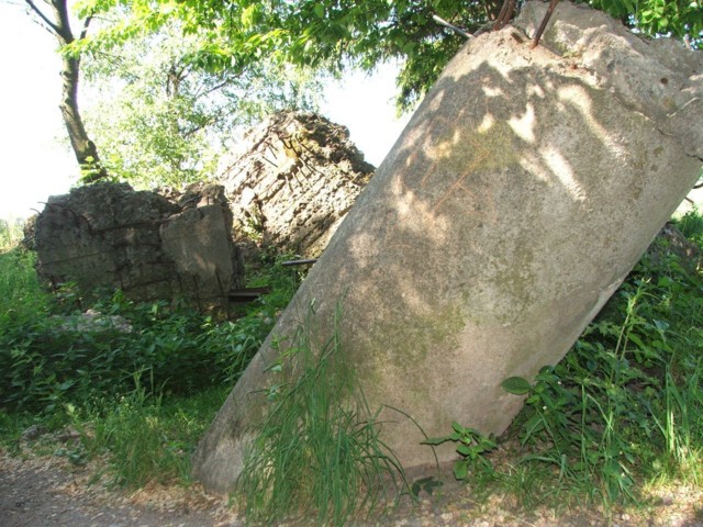 DSCF0224