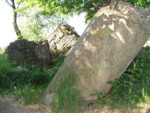 DSCF0224
