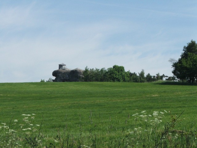 DSCF0234