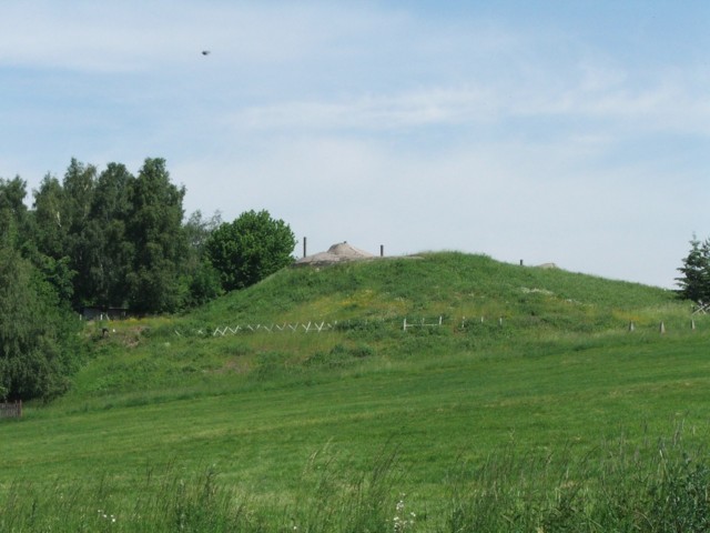 DSCF0235