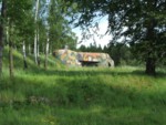 DSCF0247