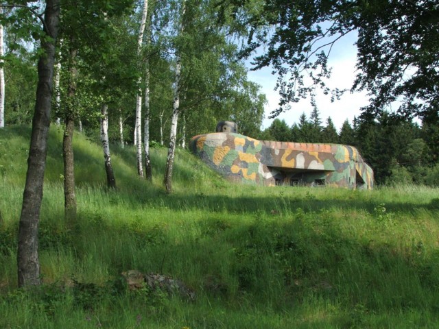 DSCF0248